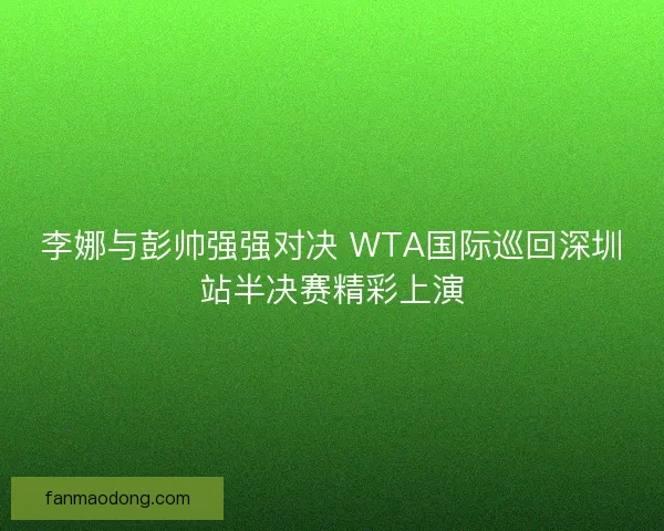 李娜与彭帅强强对决 WTA国际巡回深圳站半决赛精彩上演